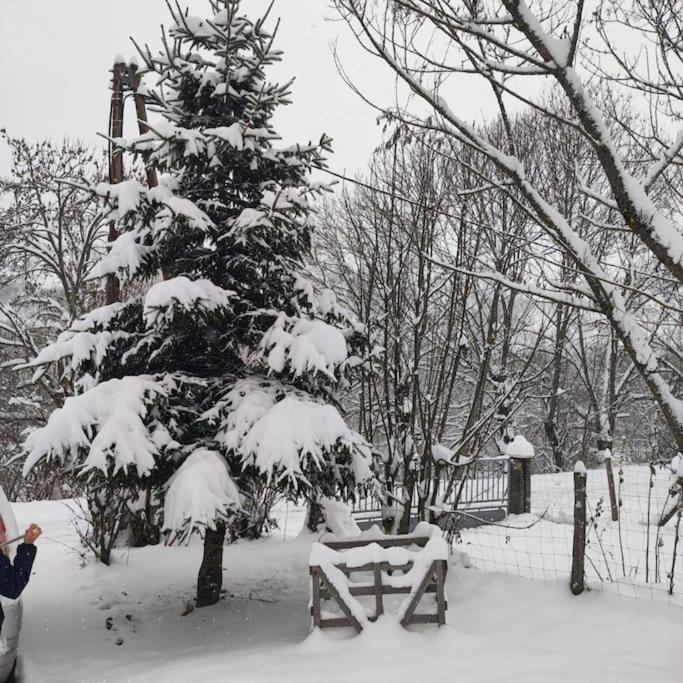 Maison De Montagne Au Calme Avec Cheminee Poubeau Kültér fotó